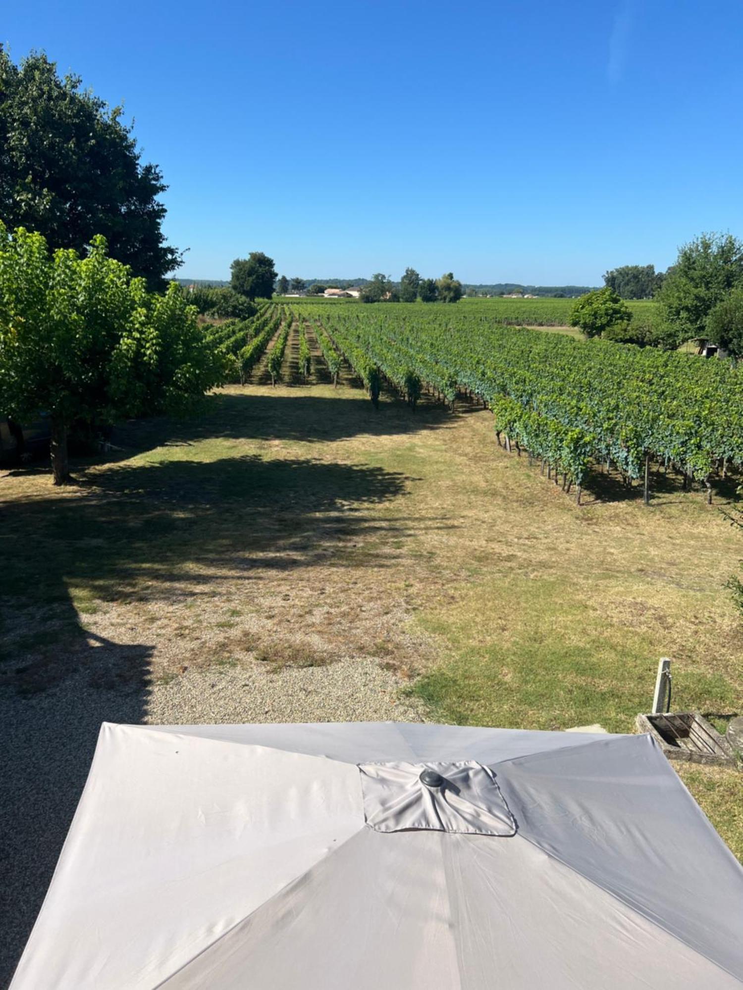 Gite Le Clos Saint-Sulpice-de-Faleyrens Kültér fotó
